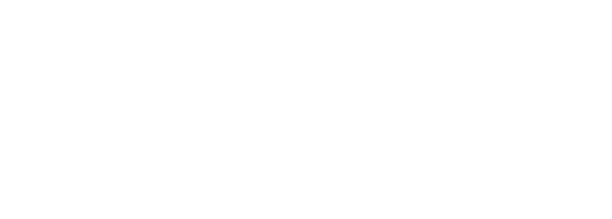 Shift DSG Logo